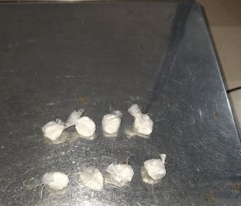 POLÍCIA MILITAR APREENDE COCAÍNA E PRENDE SUSPEITO DE TRÁFICO DE DROGAS EM ITAPEMA