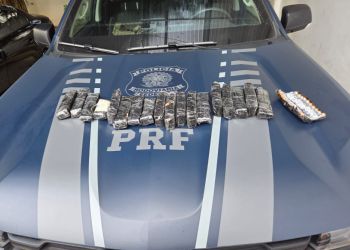 PRF apreende centenas de ampolas de remédio para emagrecer em fundo falso