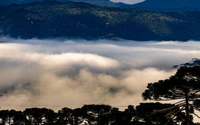 Dia das Mães terá frio intenso e geada em Santa Catarina com avanço de massa de ar polar