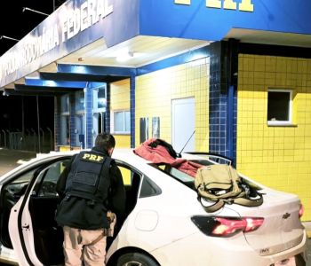 Ações integradas resultam na apreensão de quase 430 quilos de maconha no oeste de SC