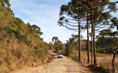 Santa Catarina terá manhãs frias e tardes de calor neste fim de semana