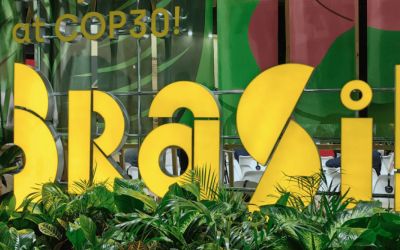 Quatro cooperativas catarinenses são selecionadas para apresentar cases de sustentabilidade na COP30