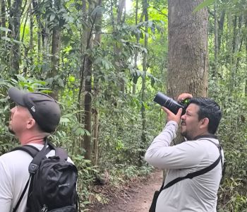 FAACI leva práticas de conservação de aves marinhas à COP15 em Campo Grande