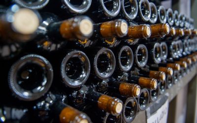 Número de vinícolas cresceu 29% em Santa Catarina desde 2020