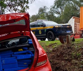 Motorista foge de fiscalização e bate contra árvore com quase 200 quilos de maconha no Planalto Norte
