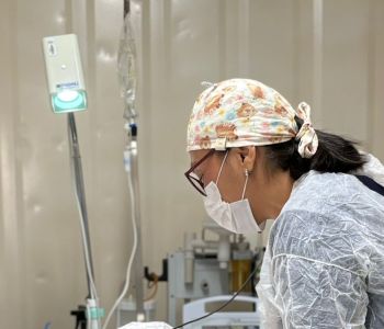 Porto Belo abre chamamento público para credenciamento de clínicas veterinárias para castração de cães e gatos