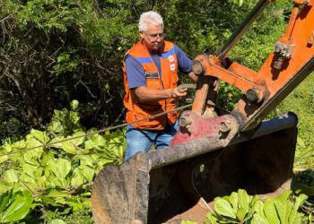 Defesa Civil intensifica limpeza de rio e remoção de galhos em ação preventiva