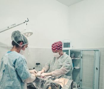 DABA oferece atendimento veterinário gratuito a famílias cadastradas no CadÚnico