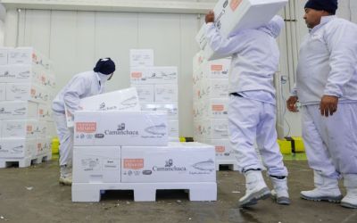 Santa Catarina tem a menor taxa desemprego do país pelo quinto trimestre consecutivo