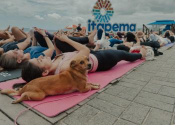 Viva Praia Pet Day acontece em Itapema neste domingo (12)