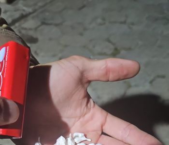 TRÁFICO DE DROGAS | ASSOCIAÇÃO PARA O TRÁFICO | DESOBEDIÊNCIA - Porto Belo